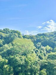 Blk 103A Depot Heights (Bukit Merah), HDB 4 Rooms #480593481